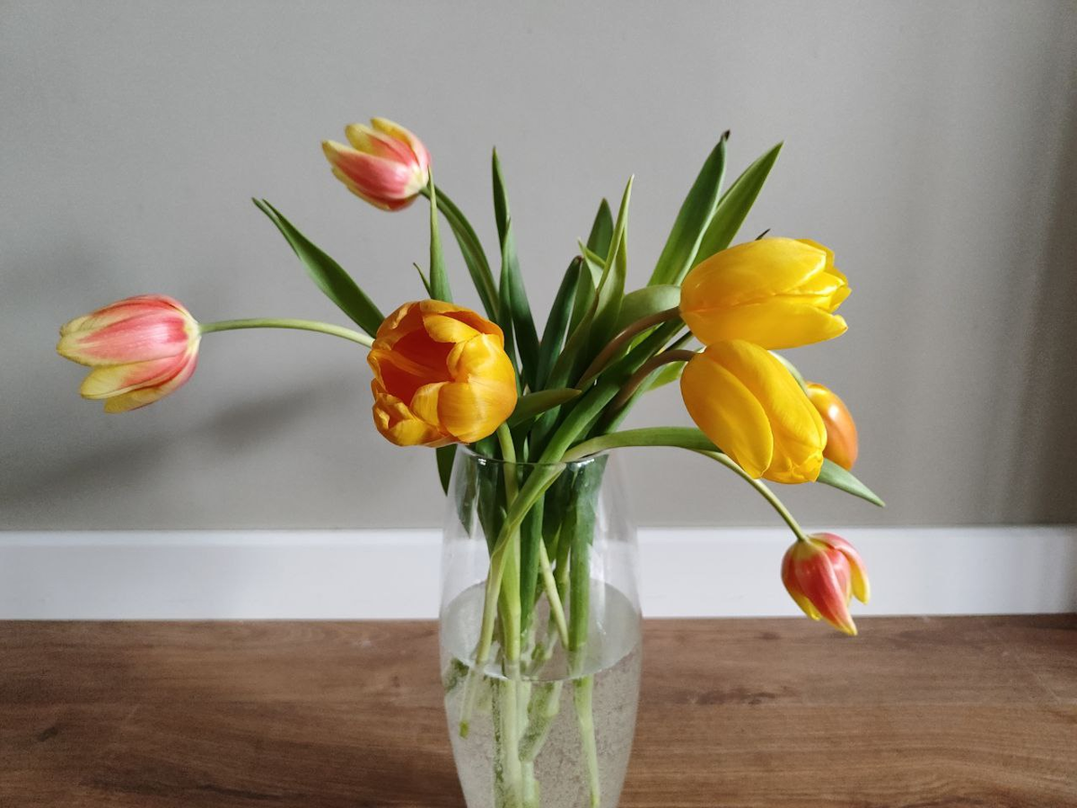 Фото автора.