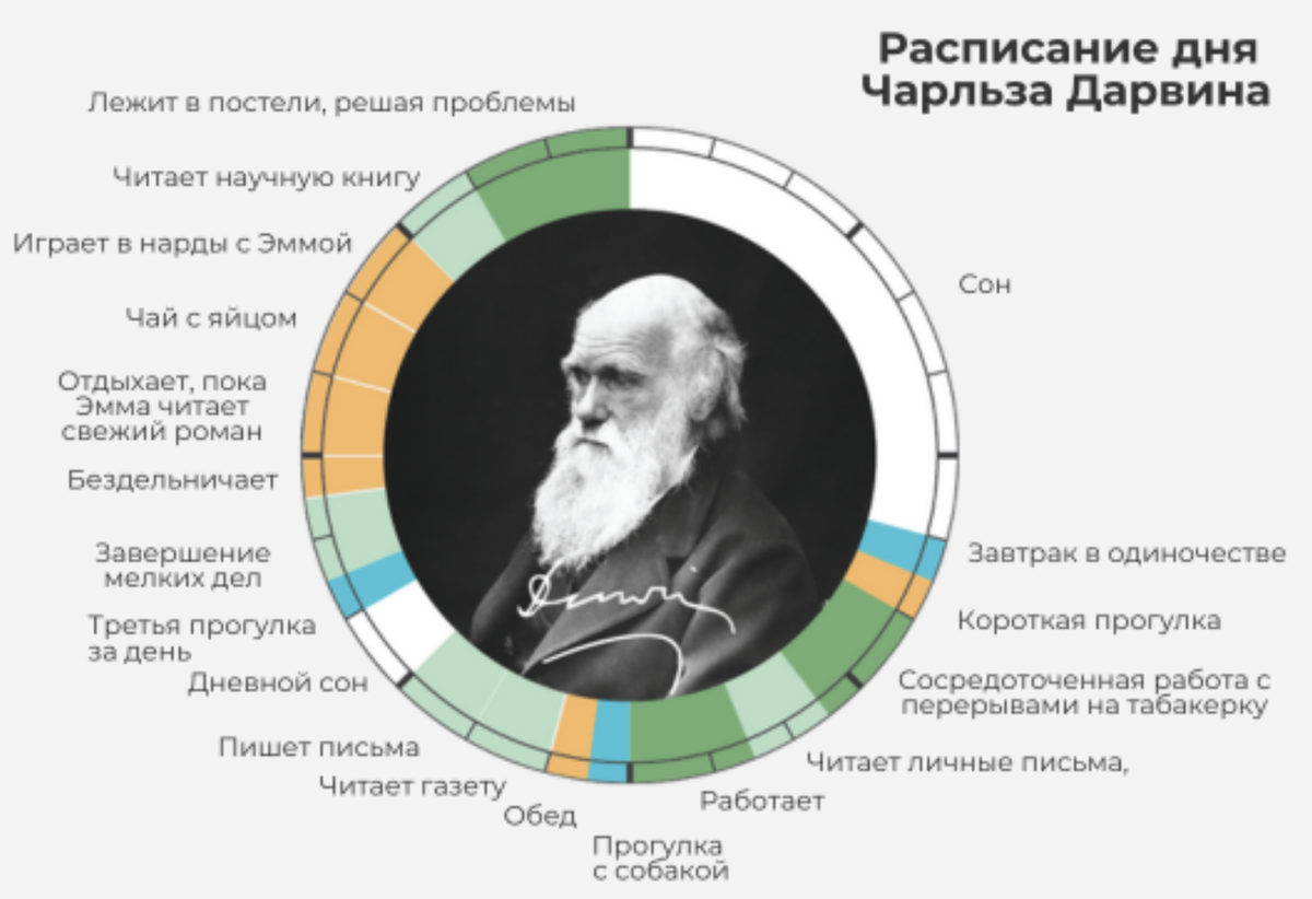 Распределение времени в течение дня у знаменитых творческих людей. https://infowetrust.com/project/routines