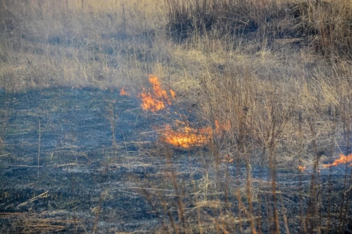    В Ярославской области зафиксировано 33 пала травы за сутки