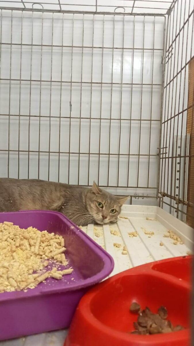 Вот эта одна фотография, которая у нас была. И с которой мы и сделали срочный пост