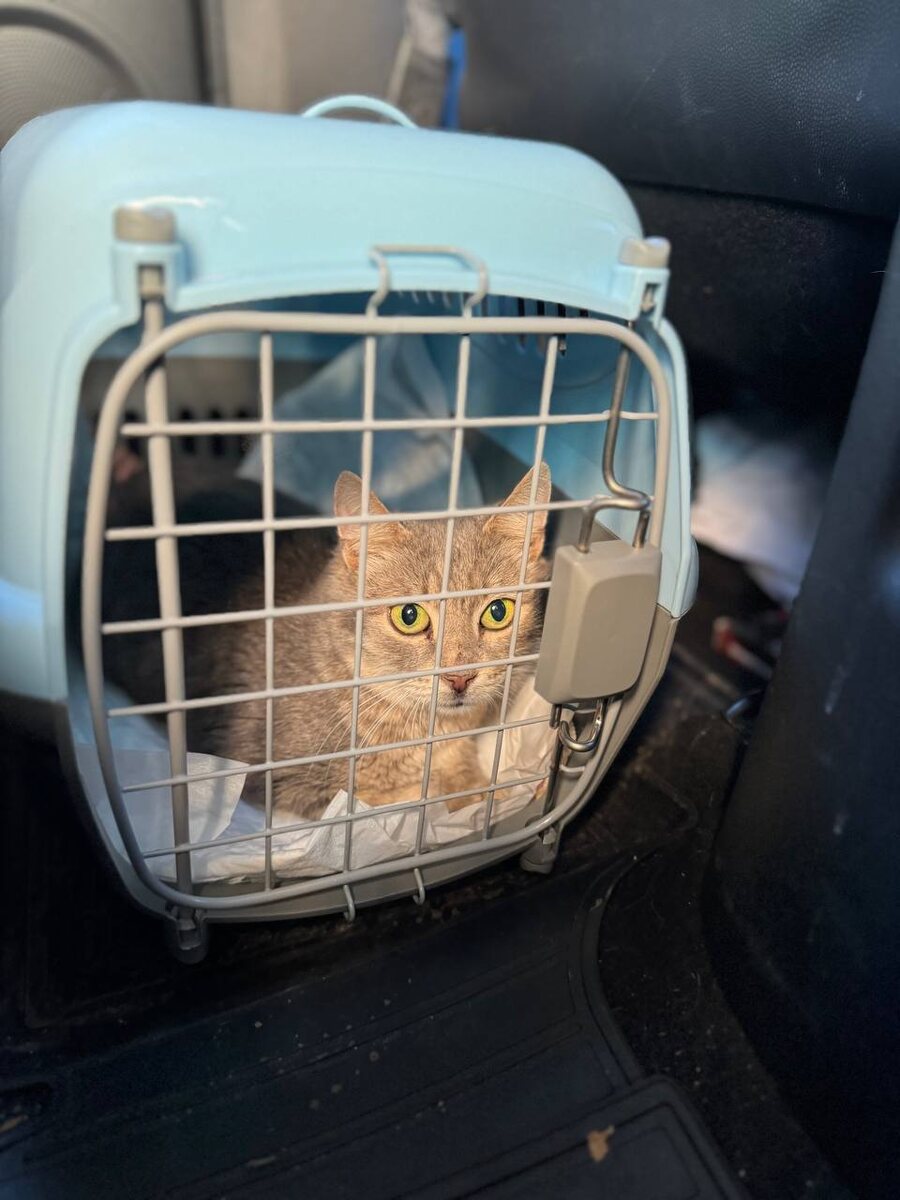 Это ещё ДО того, как мы переноску превратили в космический корабль