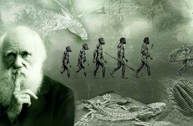 Эволюция — это не просто древняя история, она происходит прямо сейчас