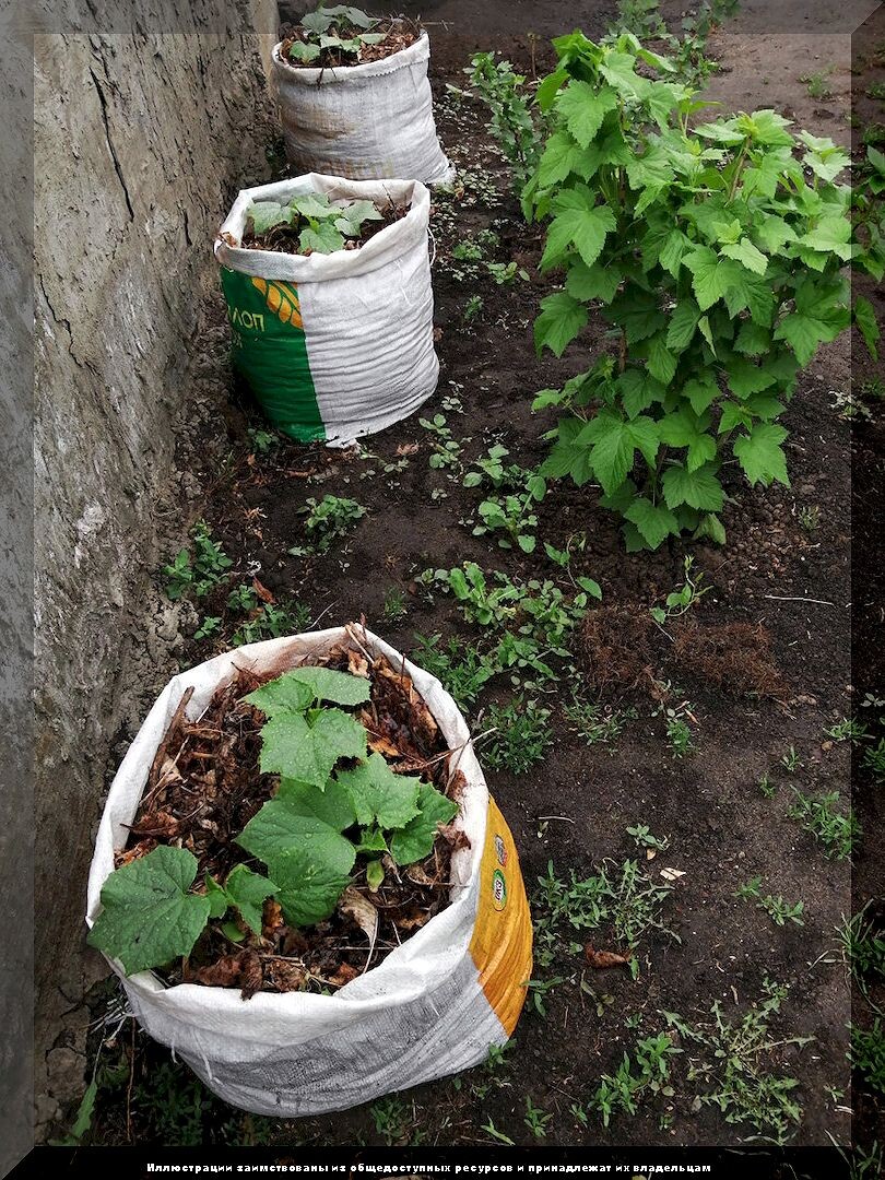 https://vk.com/photo-159774511_457270341