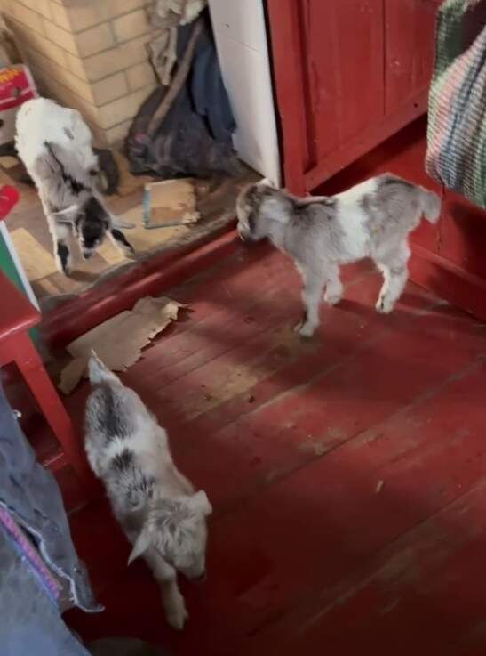    Фото: Алексей Золотарев в телеграм-канале