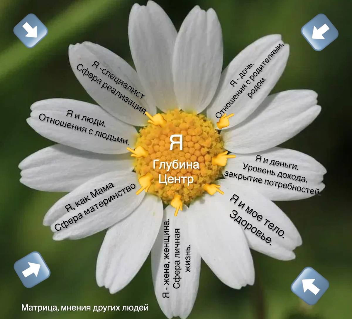 Теория цветка. Татьяна Кирьянова