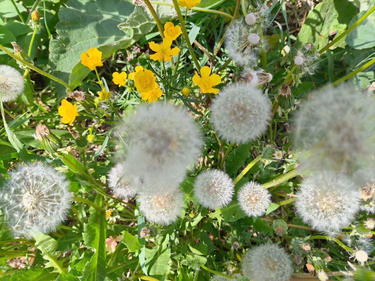 Фото автора.