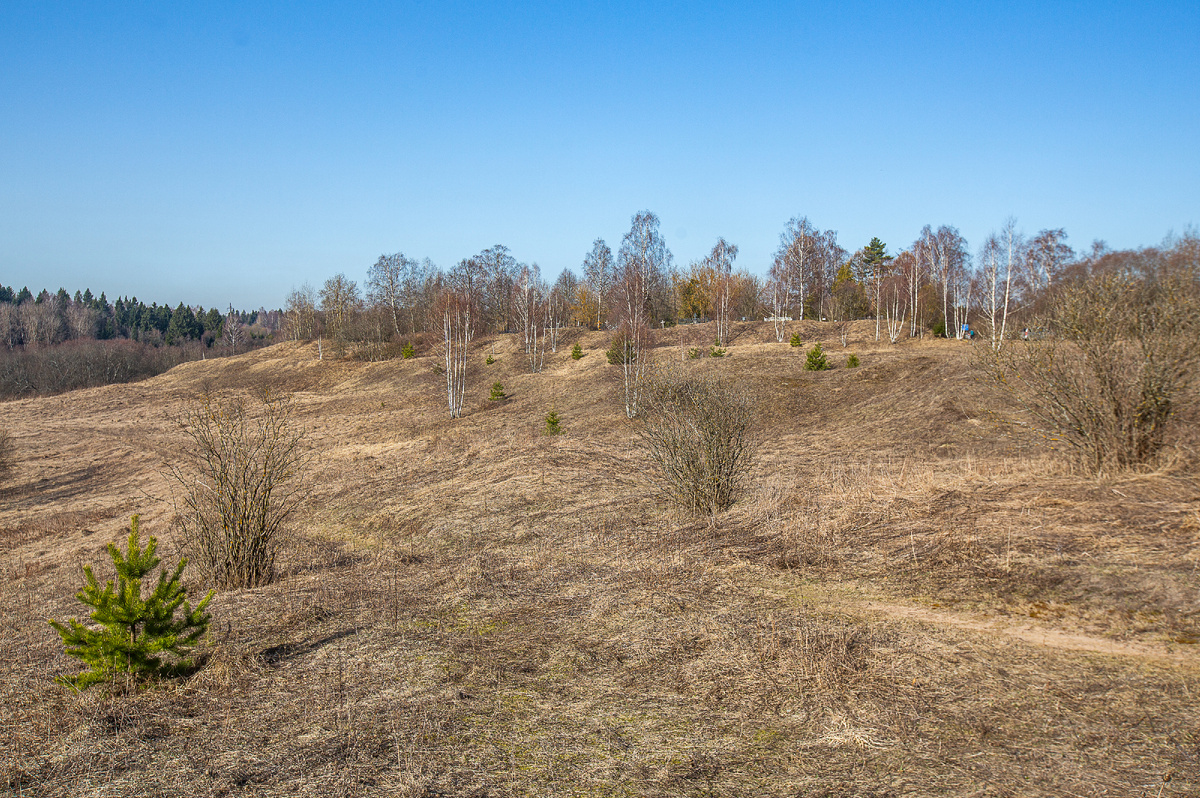 Вид на окрестности села Радонеж от Преображенской церкви. Валы древнего города Радонежа (Городка Радонежского). Сергиево-Посадский городской округ, Московская область. Фото автора статьи
