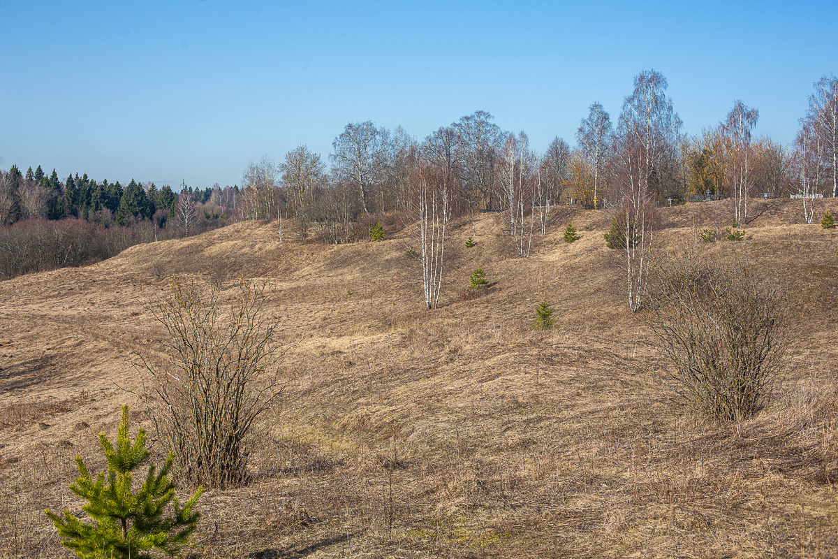 Вид на окрестности села Радонеж от Преображенской церкви. Валы древнего города Радонежа (Городка Радонежского). Сергиево-Посадский городской округ, Московская область. Фото автора статьи (ещё 1 фото, листайте галерею)