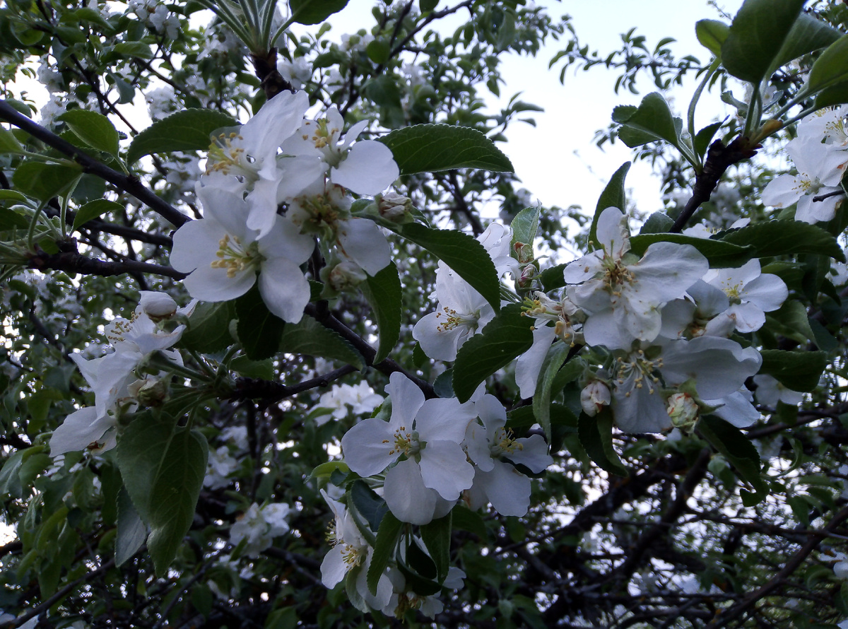личное фото автора из архива