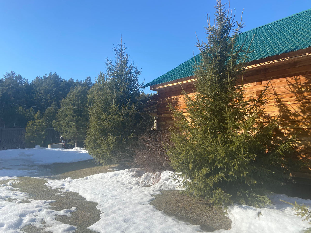 Снега уже половины нет 