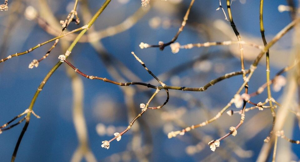    Shatokhina Natalia/news.ru / www.globallookpress.com