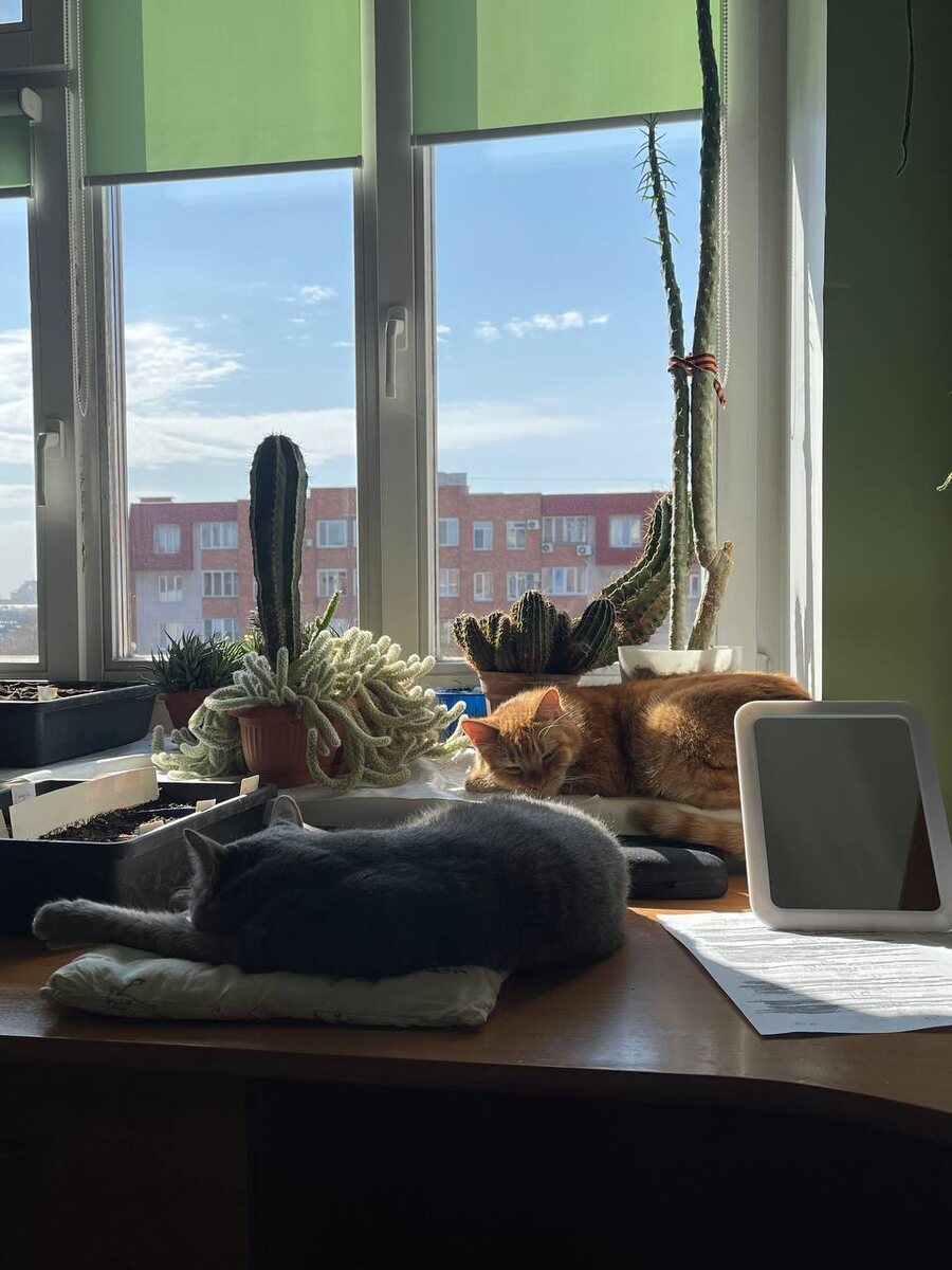 Коллекция флор и фаун