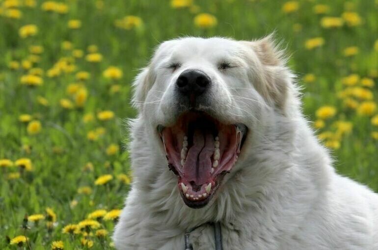   Илья Наймушин / РИА Новости