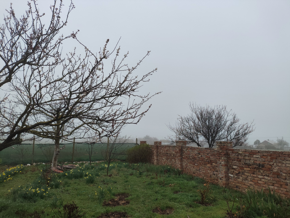 Утренний туман