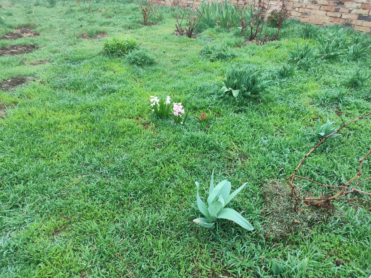 И абсолютно мокрая трава