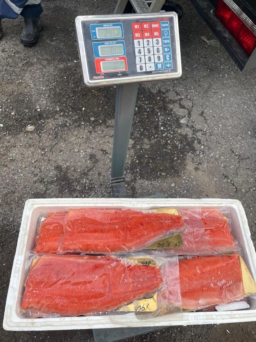     Автор: УТ МВД по СКФО