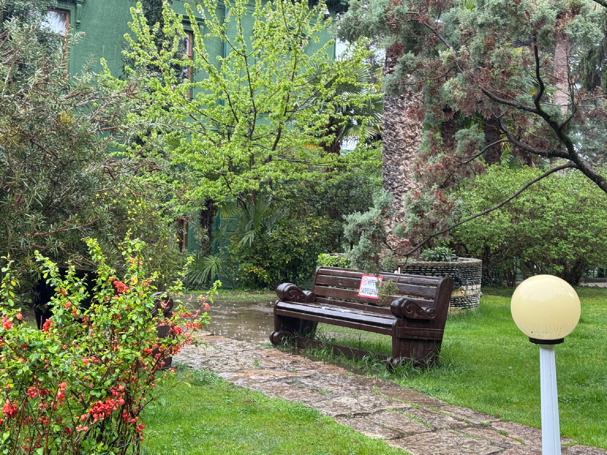 Фото автора 