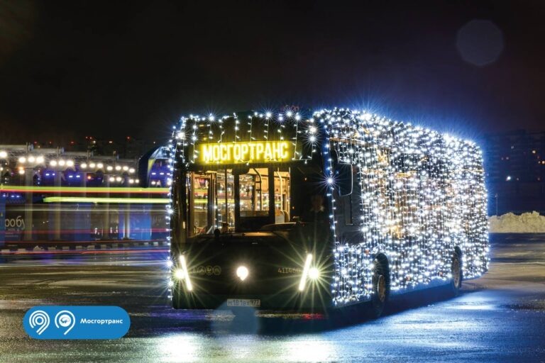    Фото: t.me/DtRoad Анна Мигинеишвили