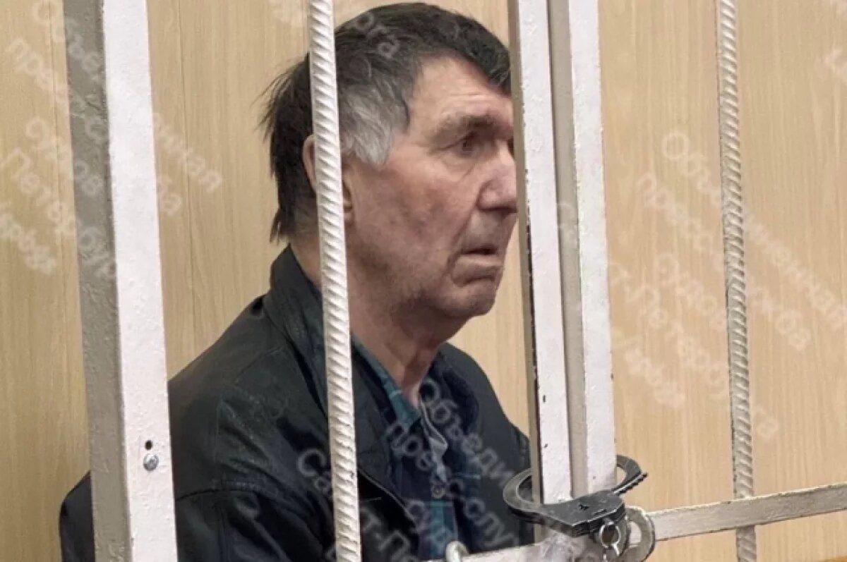    Пенсионера-расчленителя из Петербурга отправили в СИЗО на 2 месяца