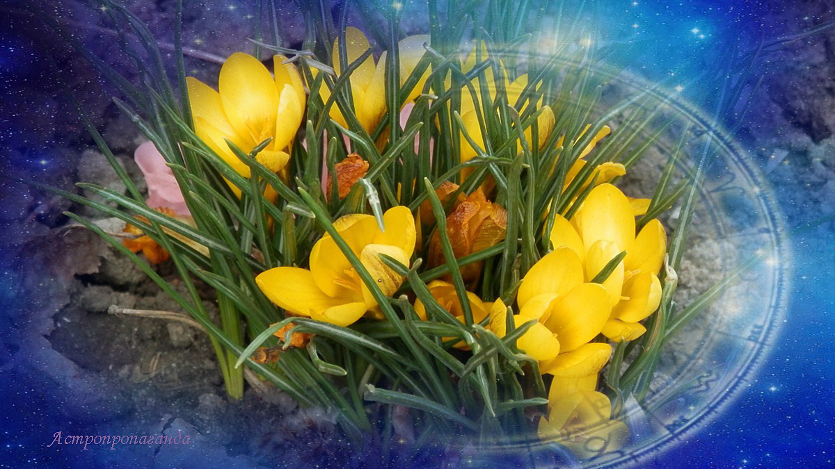 Гороскоп с 31 марта по 6 апреля 2025: гармоничные аспекты и тормозящие планеты.