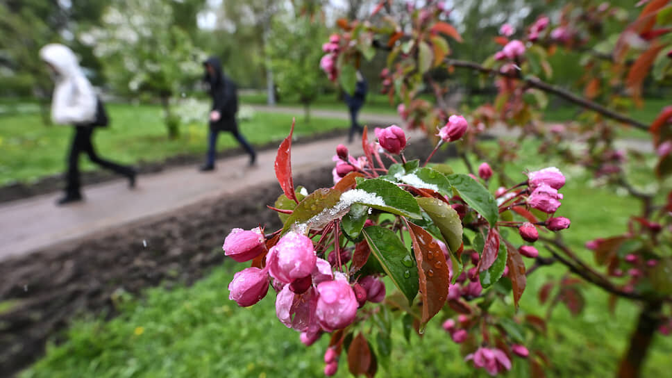 Фото: Александр Миридонов / Коммерсантъ