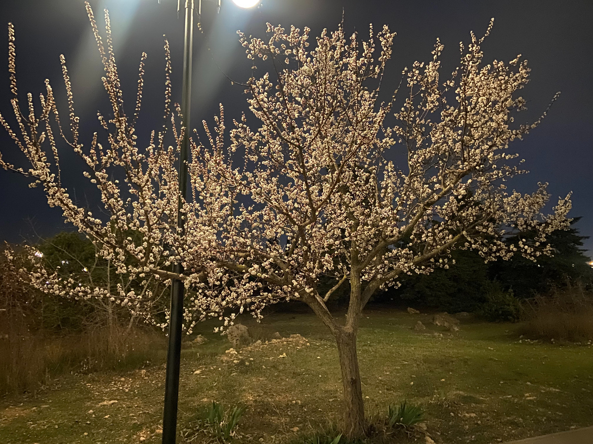 Всех нас с весной! Разберем в этой статье, почему весна — самое время для этого?