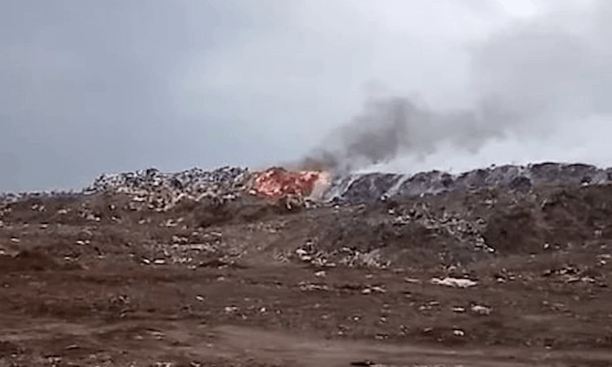    Фото t.me/ustlab_press_sektor