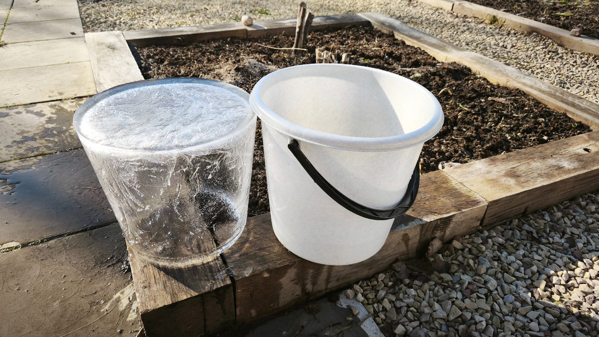 Льдина из ведра. 