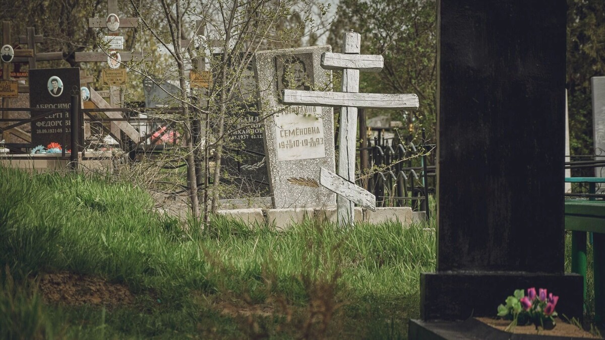     Источник: novostivolgograda.ru