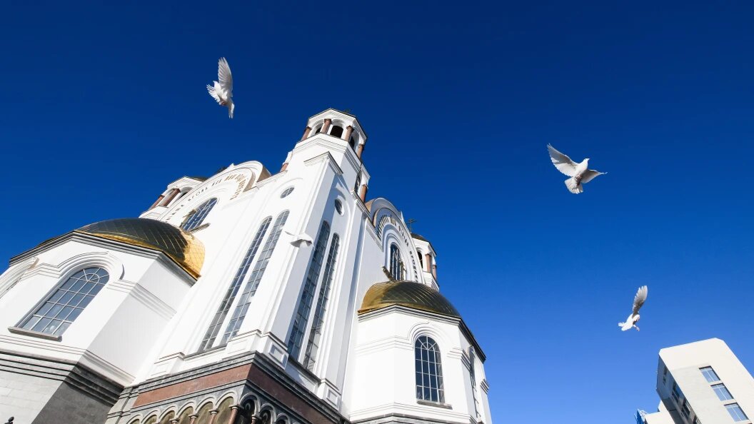    Dmitry Chasovitin/Globallookpress