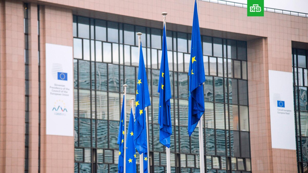    Фото: РИА Новости © 2025, Алексей Витвицкий