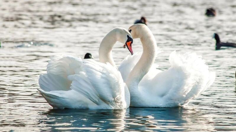    Фото: Dmitry Demkin/Shutterstock/Fotodom