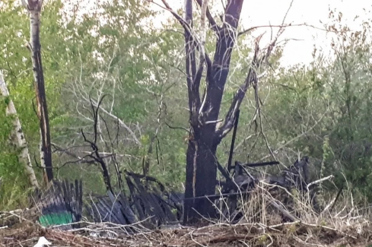    В лесах Тюменской области начинается пожароопасный сезон