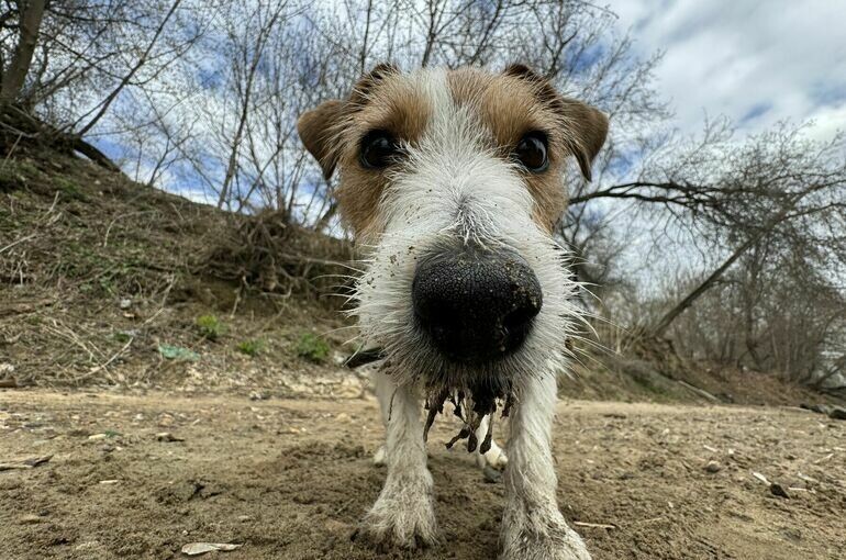   Тимур Ханов/ПГ