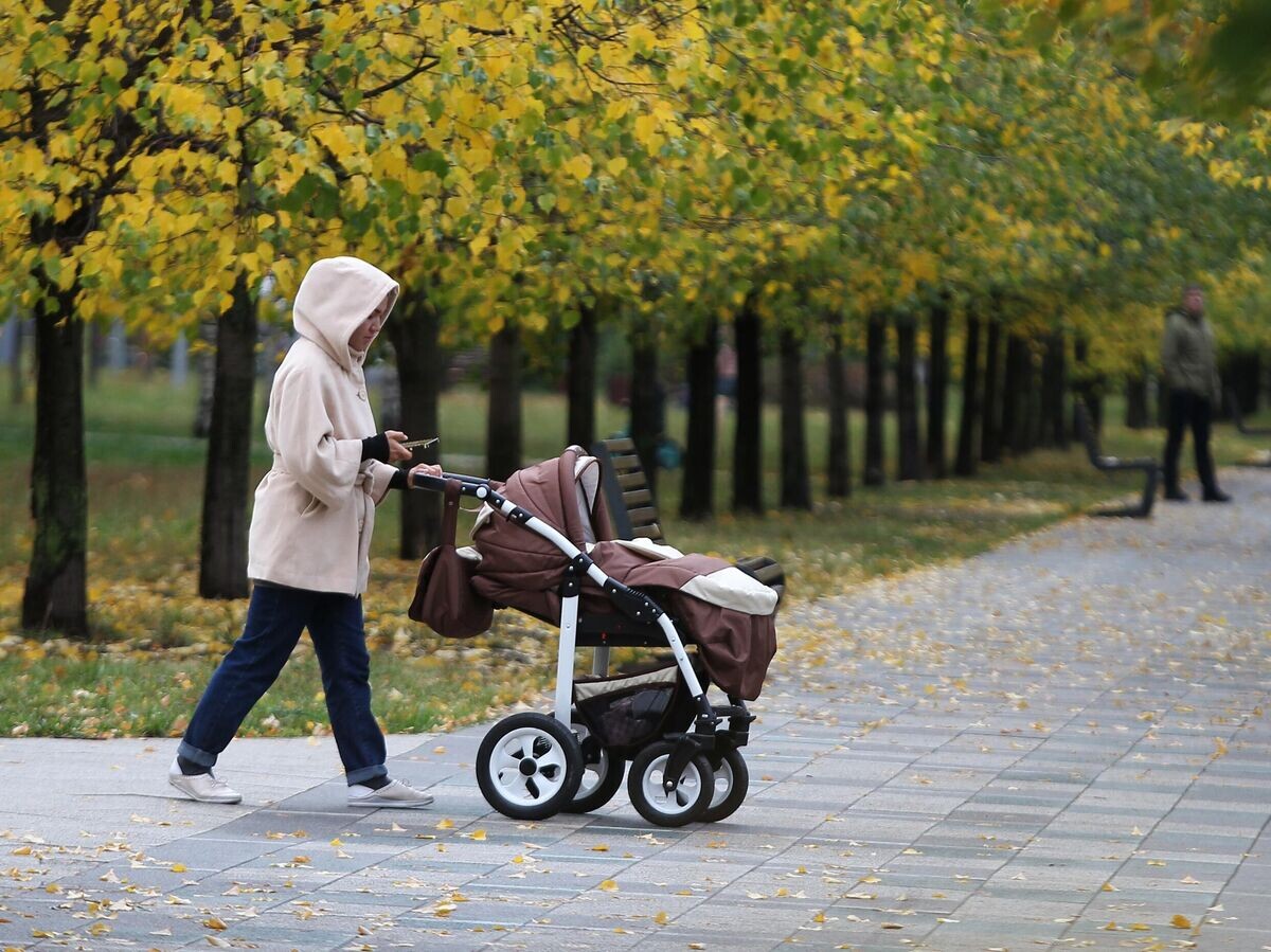    Женщина с коляской гуляет в Дюссельдорфском парке в Москве© РИА Новости / Мария Девахина