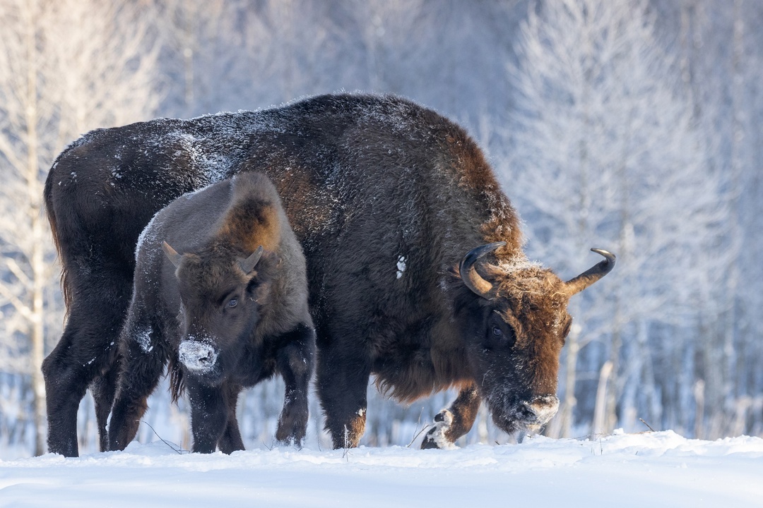 Фото: Виталий Горшков 