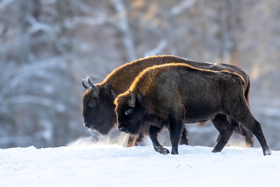 Фото: Виталий Горшков 