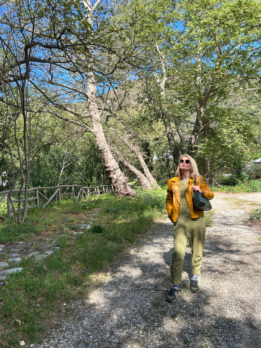 Автор настойчиво наслаждается зеленым зимним безлюдным Критом (потому что в сезон будет жара и такой зелени уже не видать)