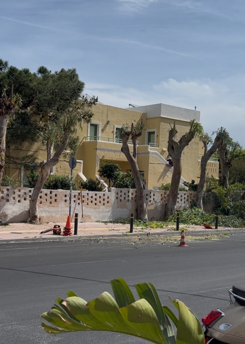 Херсониссос готовится к сезону: подрезают деревья, закатываются новый асфальт на главной дороге (фото автора)