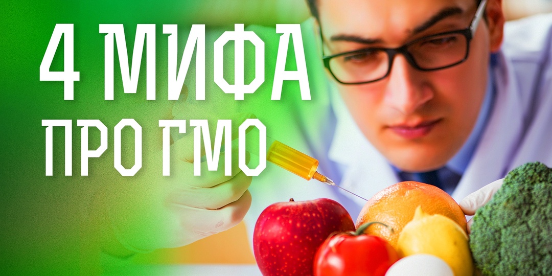 Почему еда из СССР была не такой уж чистой? 4 мифа про ГМО