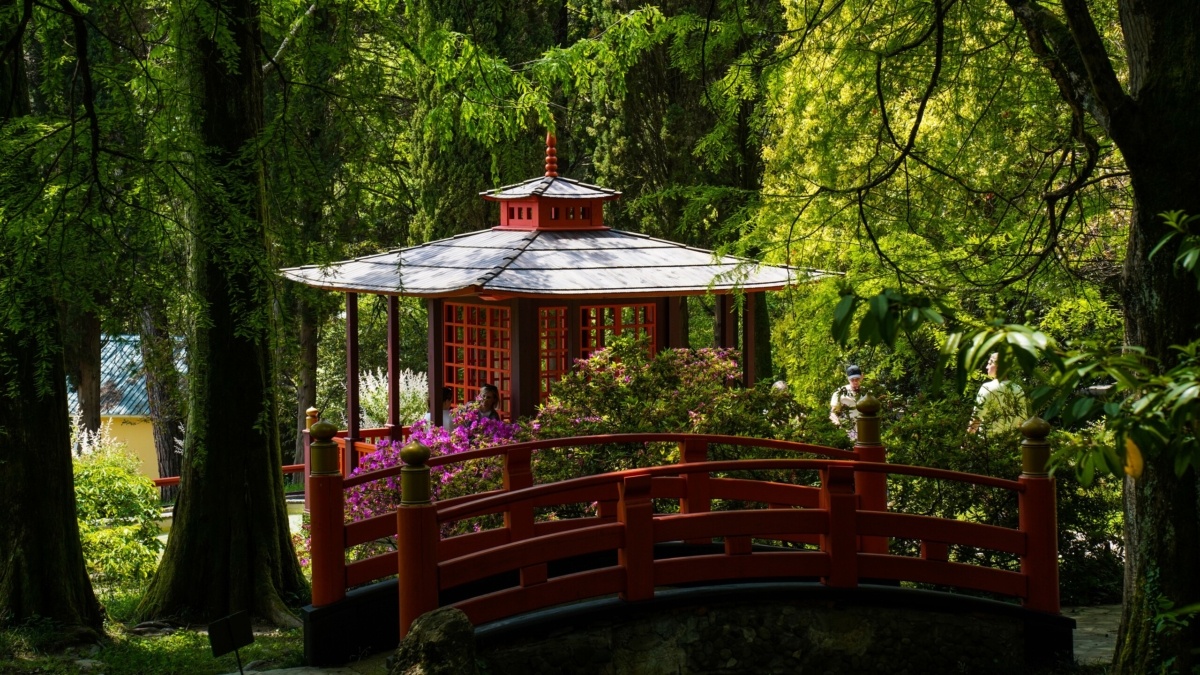 Фото: ИА SM-News📷
