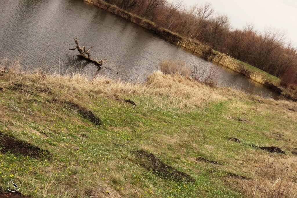    Склоны и вода. 21.03.25 Анна Власова