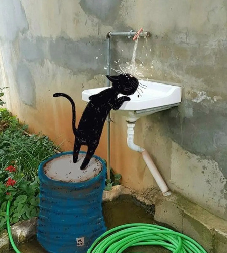 Источник изображения : my.mail.ru и Яндекс картинка.