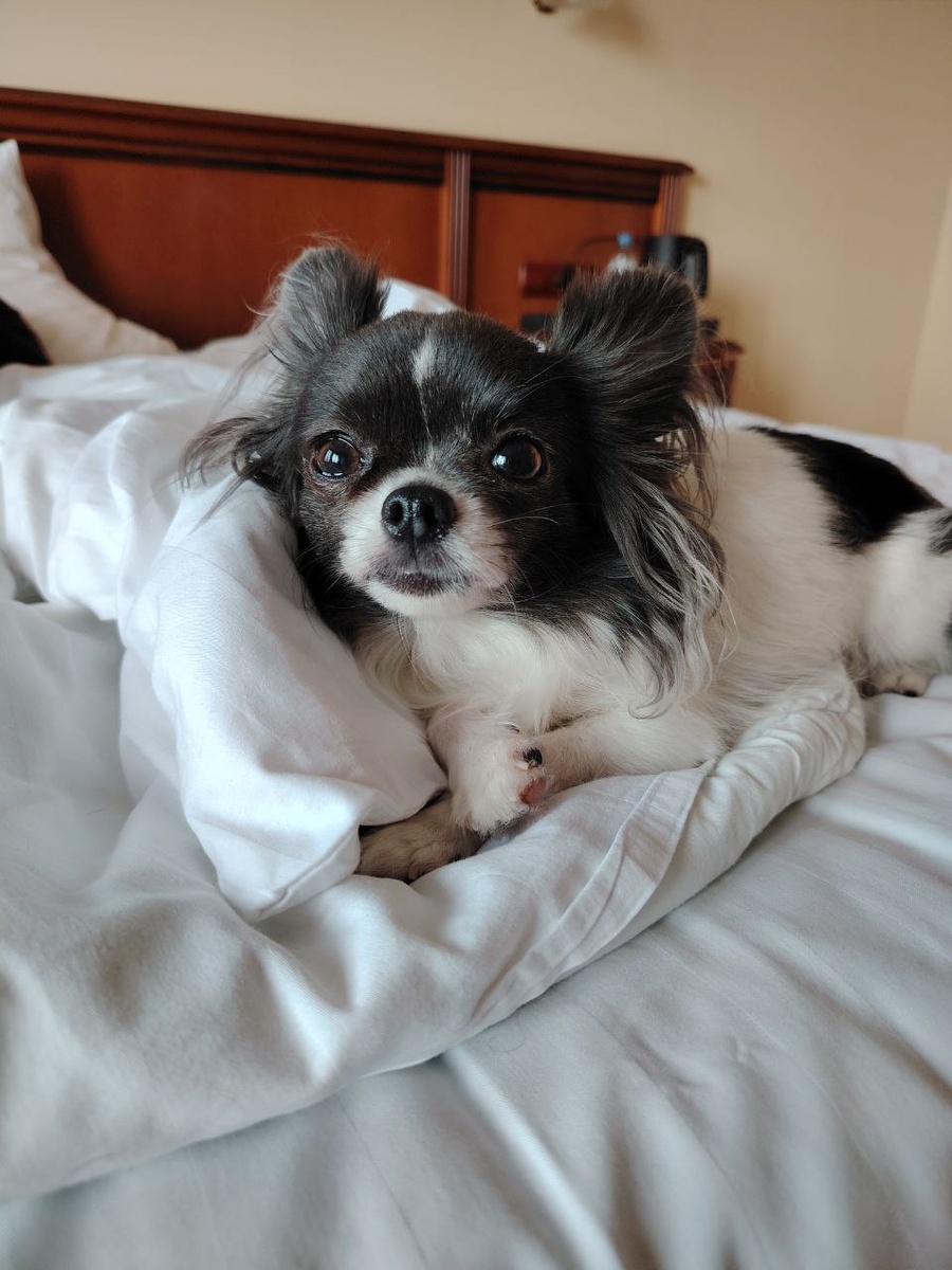 Деловуся в номере