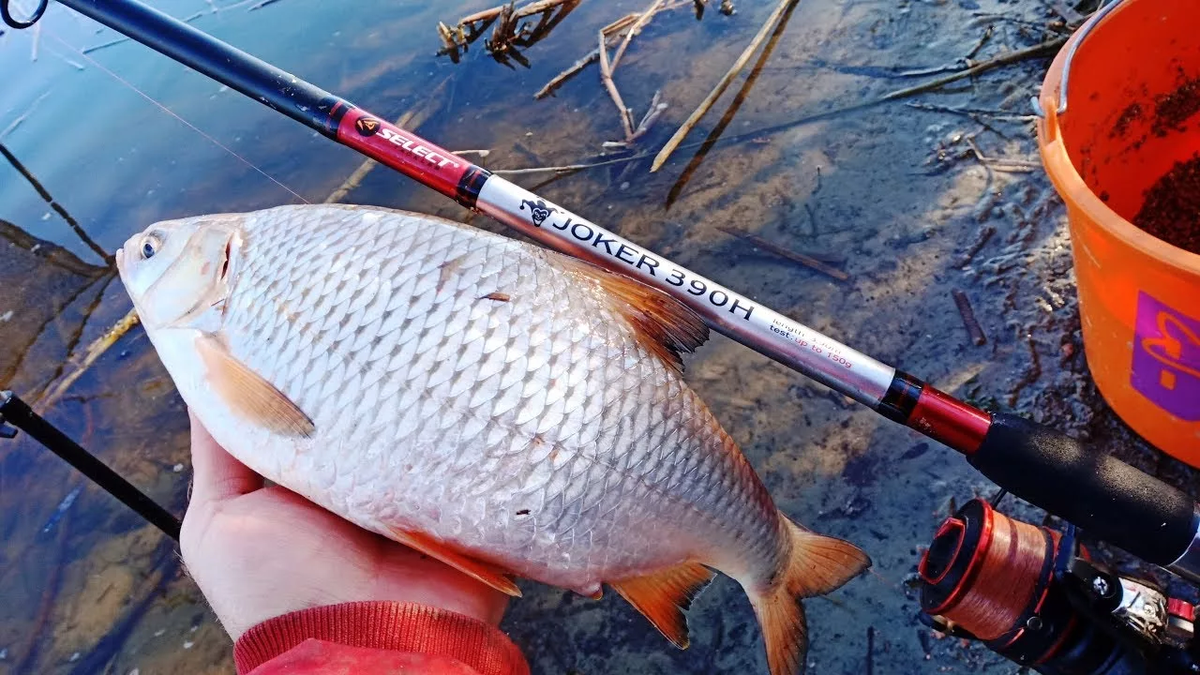 Читайте также: https://avatars.mds.yandex.net