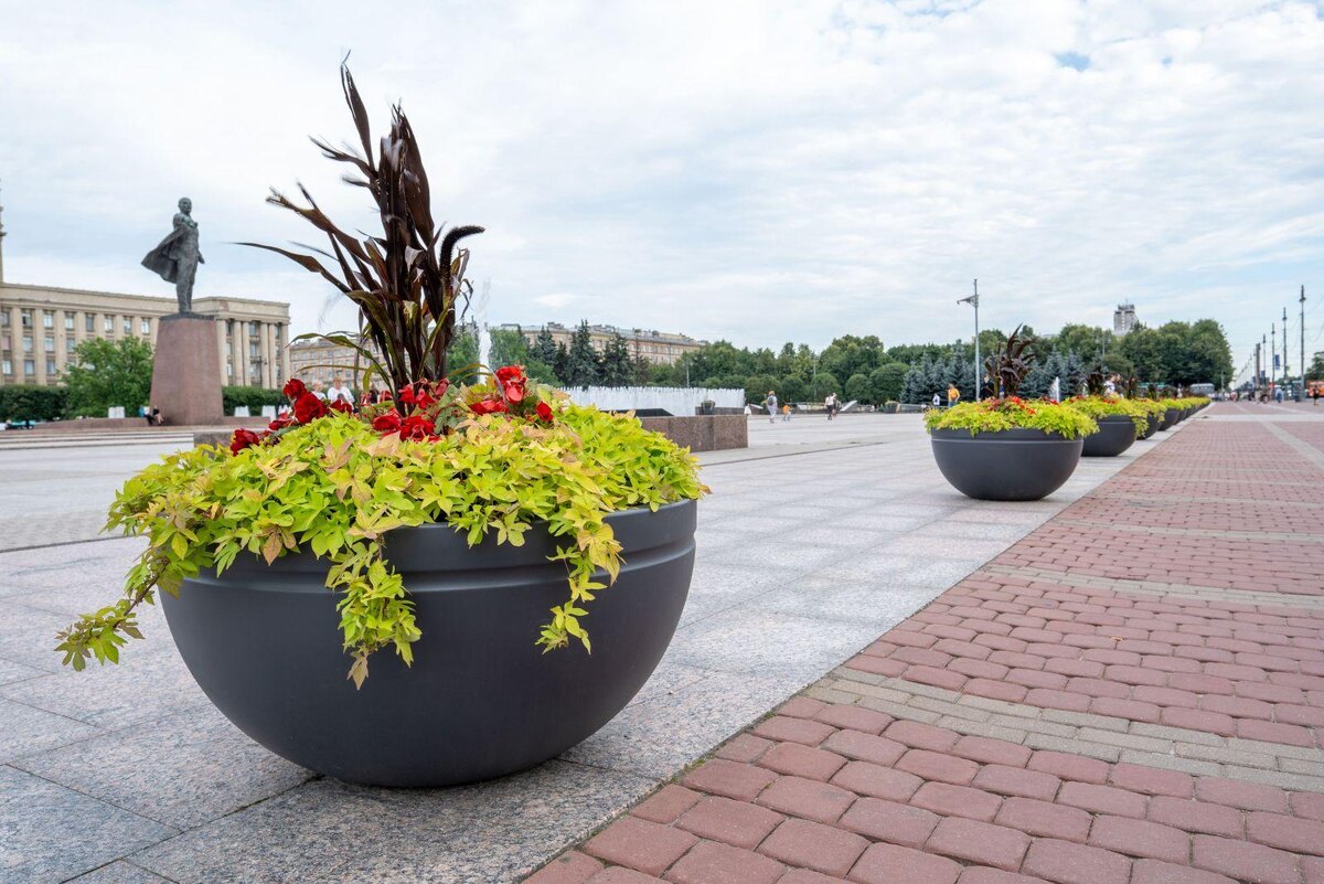    Фото: gov.spb.ru