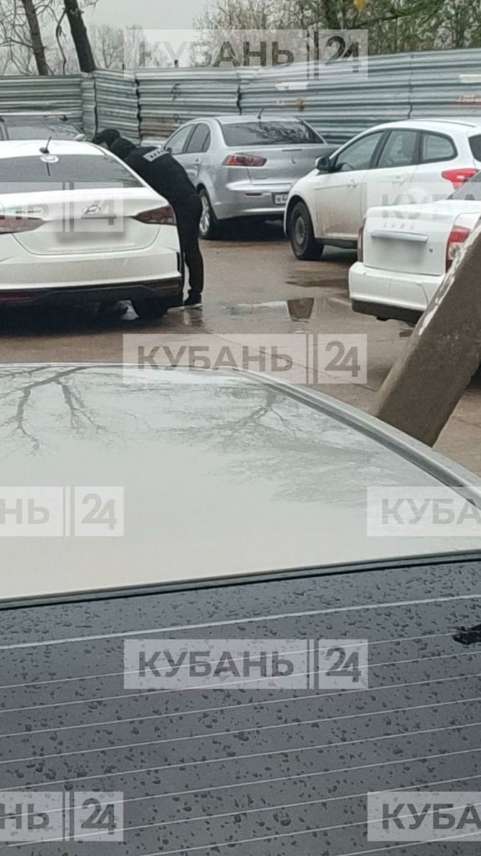 Фото Кубань 24