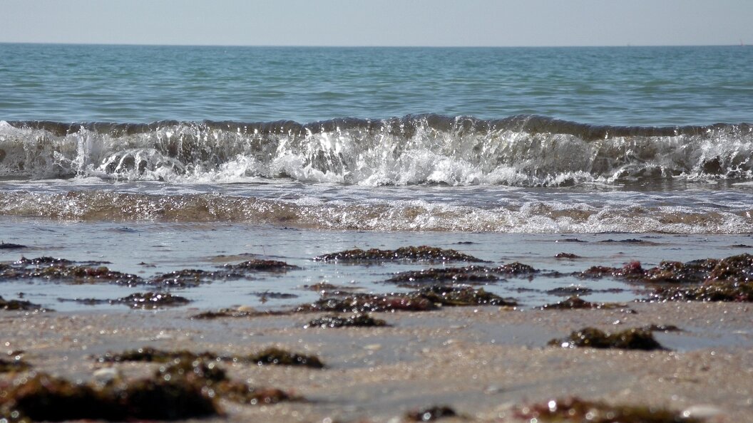    Фото: Dmitriy Puzyrev/Russian Look/Globallookpress