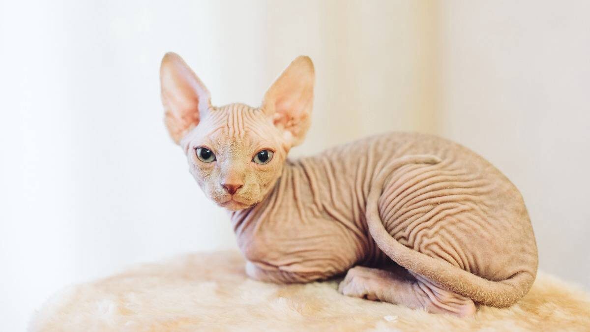    Фото: Shutterstock