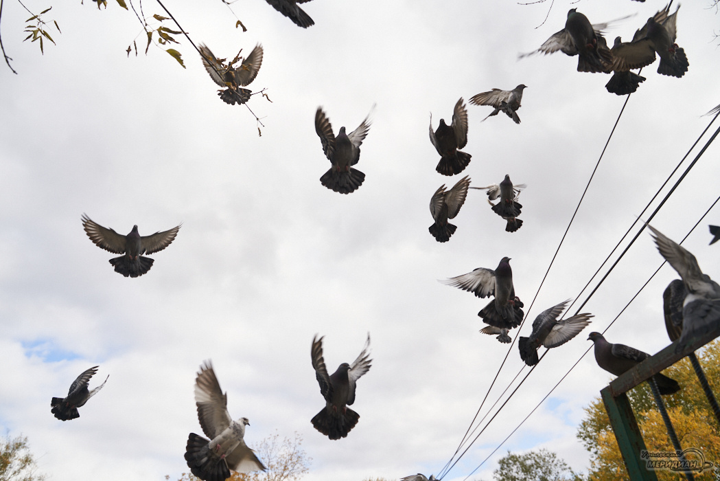    Фото: Лидия Аникина © ИА "Уральский меридиан"